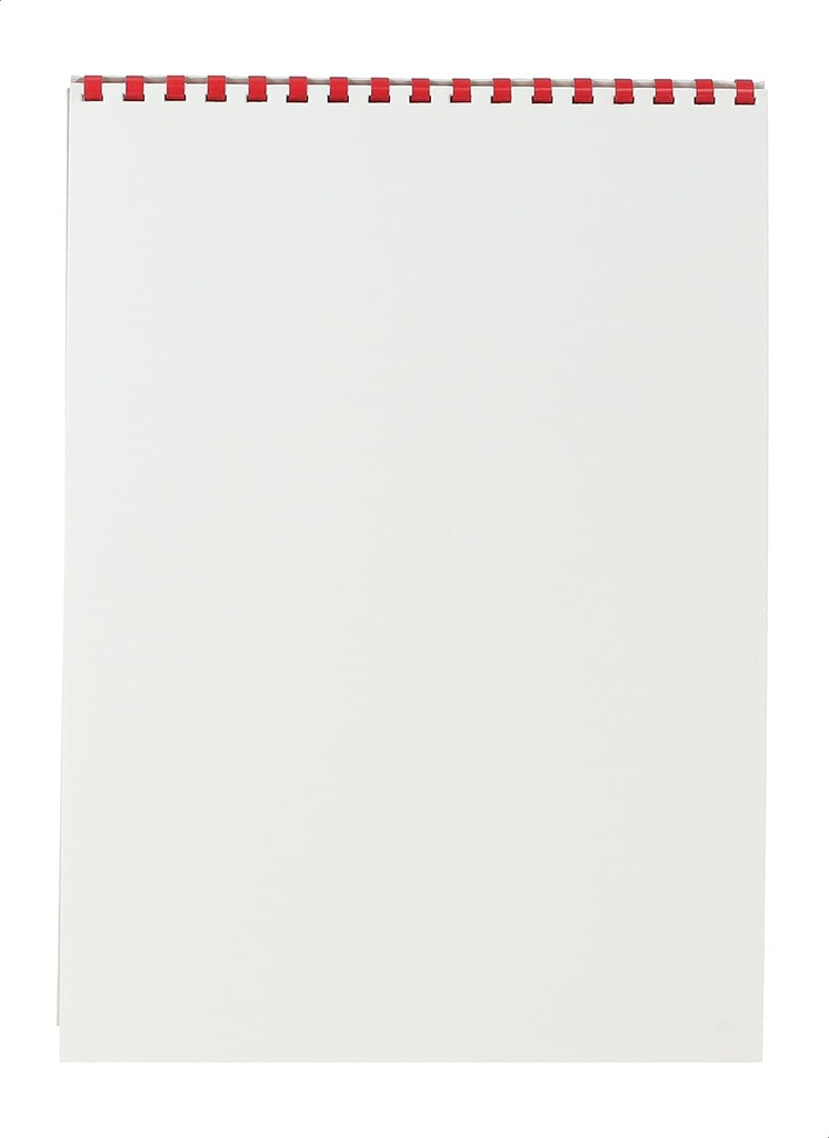 Canson - Drawing Sketch Paper (12 Sheets, White)