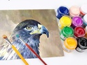 CN - Poster, Gouache Color  - Pot 30 ml - Multi Colors