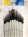 Worison set of 12 brushes - white handls - hair for gouashe and poster colors