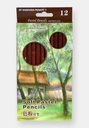 CP Engross Pen art pastel pencils 12 pencils diff colors