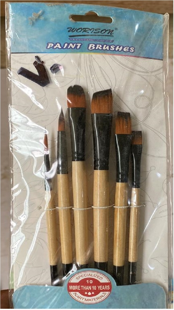 Set of 6 brushes different shapes and size from worison