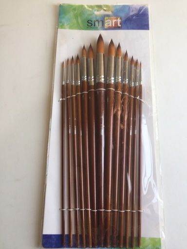 Smart - Set of 13 Brushes -  Brown Long Handle - different Shapes & sizes (from 1 to 13)