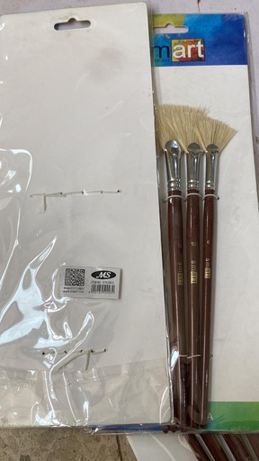 Smart - Set of 5 Brushes - rough hair - fan